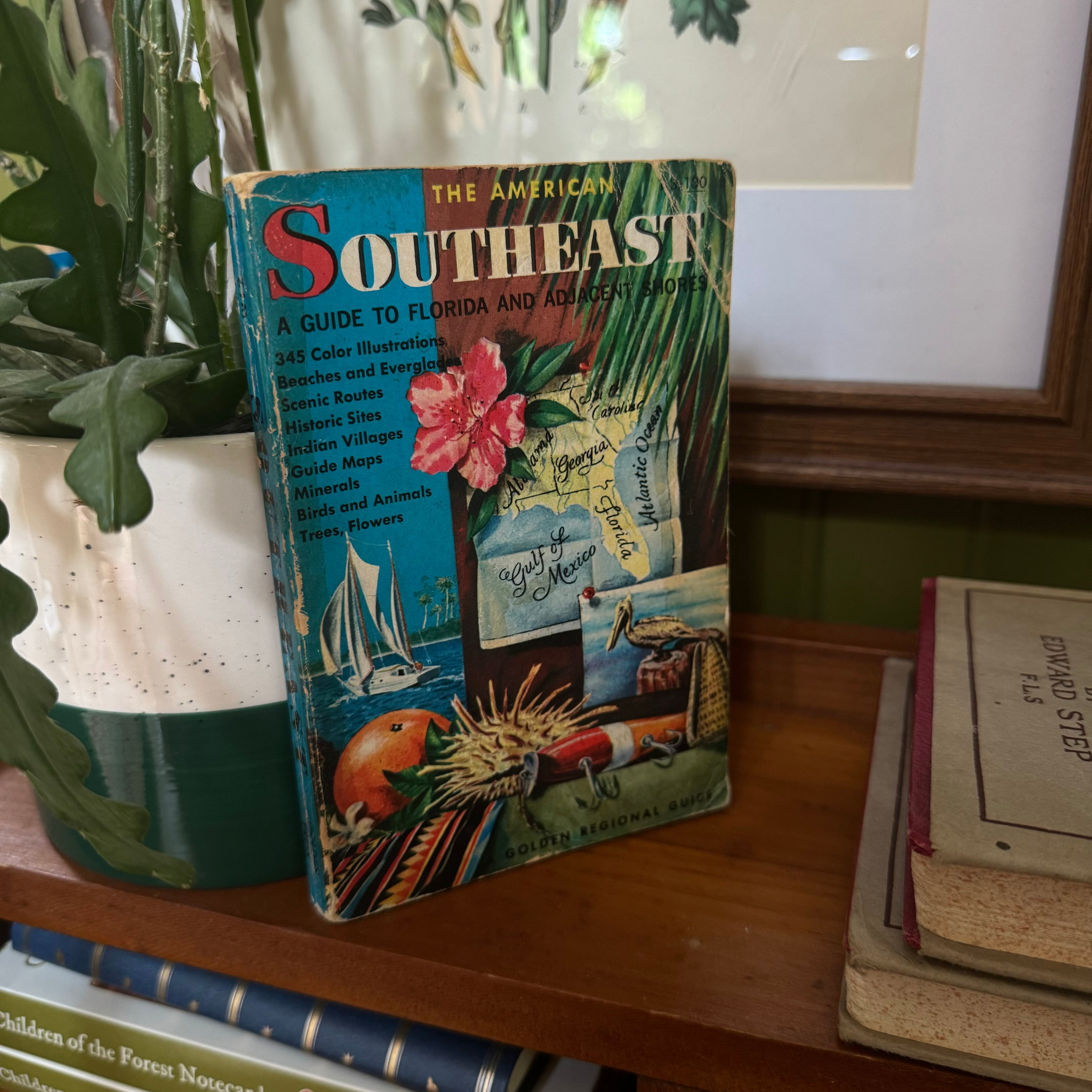 The American Southeast Golden Guide